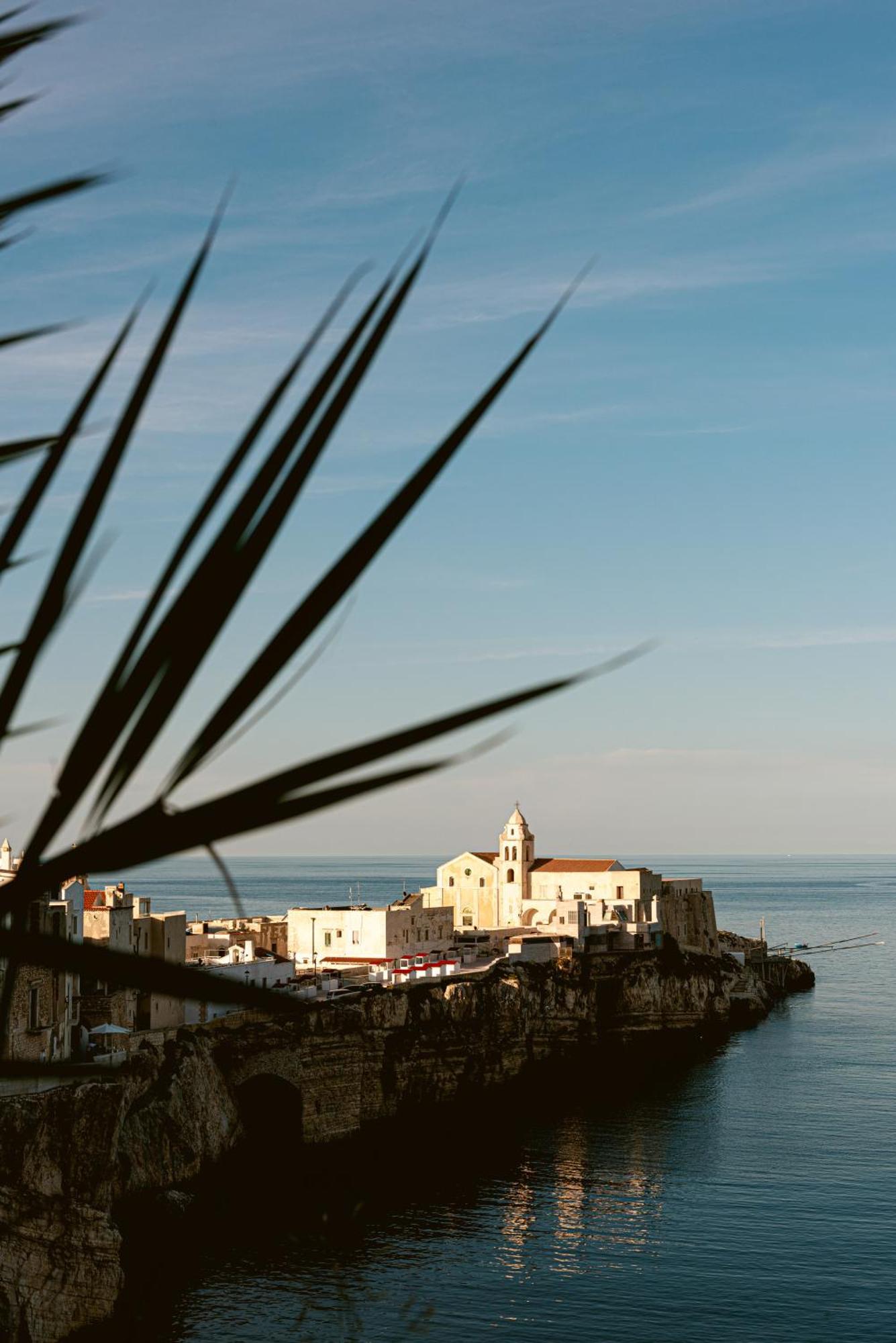 Hotel Degli Aranci Vieste Bagian luar foto